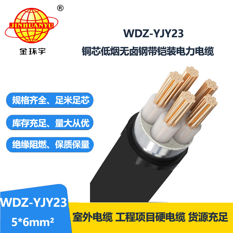 金環(huán)宇電線(xiàn)電纜 無(wú)鹵低煙交聯(lián)鎧裝電力電纜 WDZ-YJY23-5x6平方
